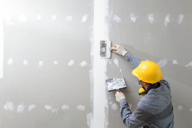 Best Dehumidification Services  in Kingman, AZ